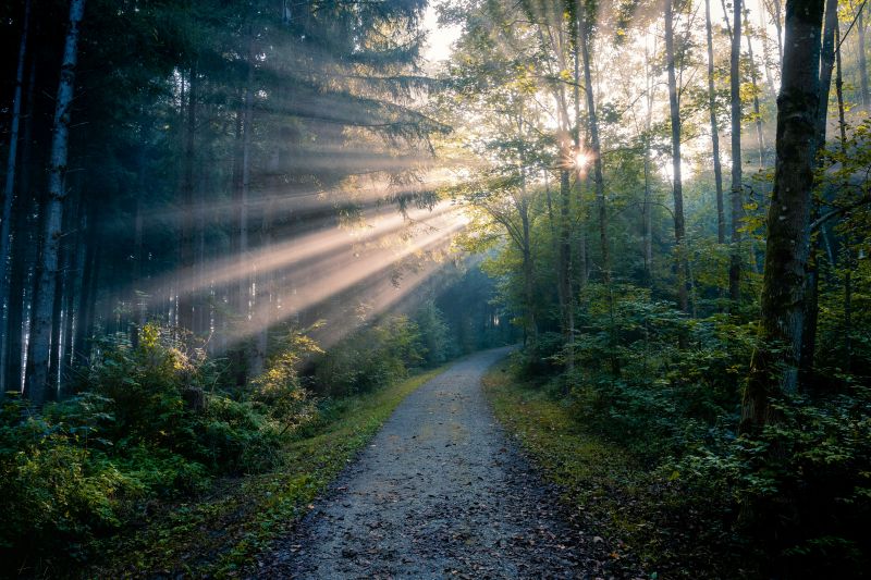 The Road Behind