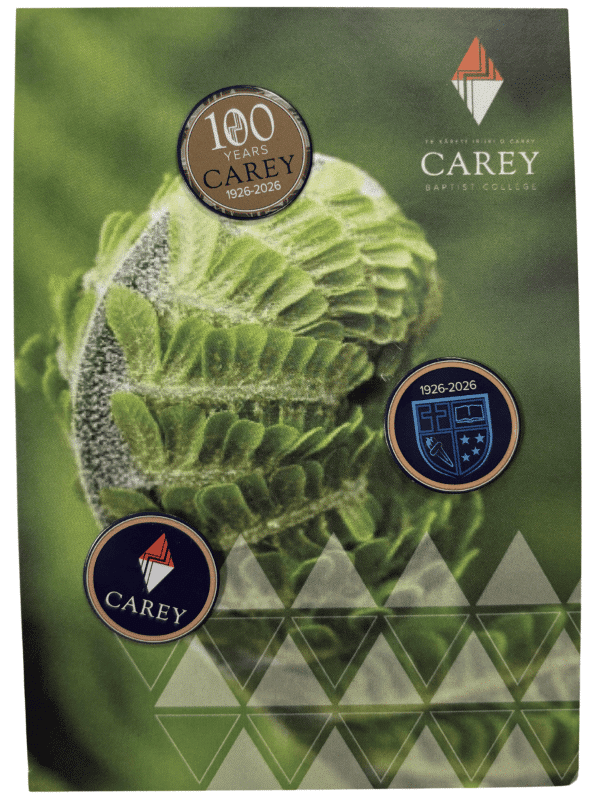 Centenary Pins