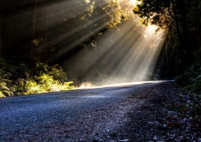 A Light Unto Our Path