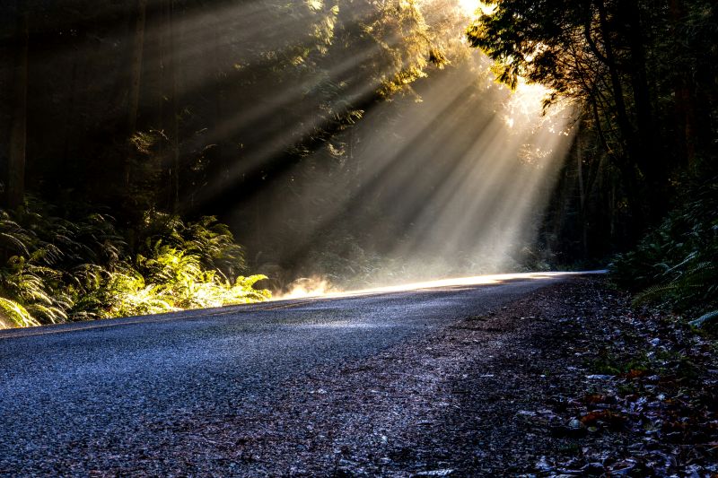 A Light Unto Our Path
